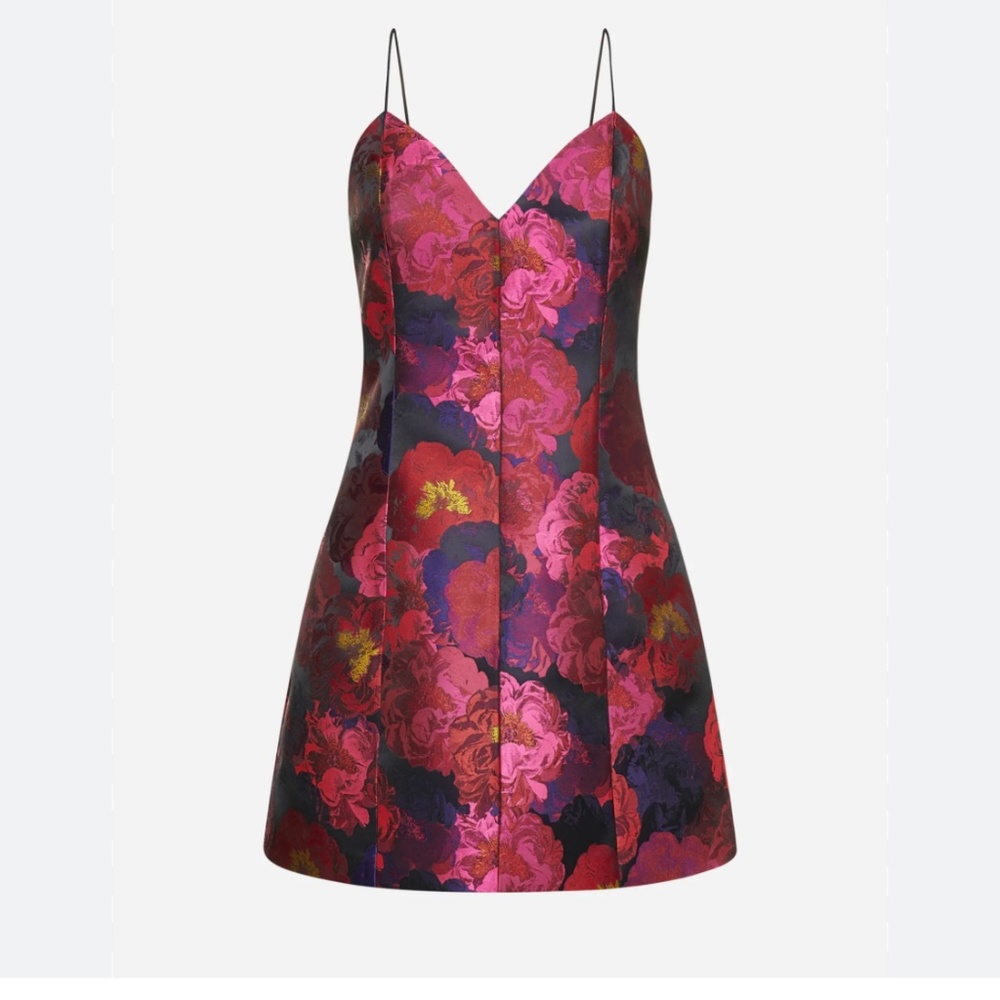 Alice and Olivia Taylor floral minidress